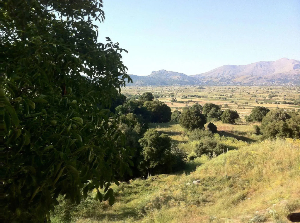 Dionysus House Lasithi Plateau
