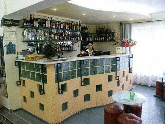 Casa Pintea