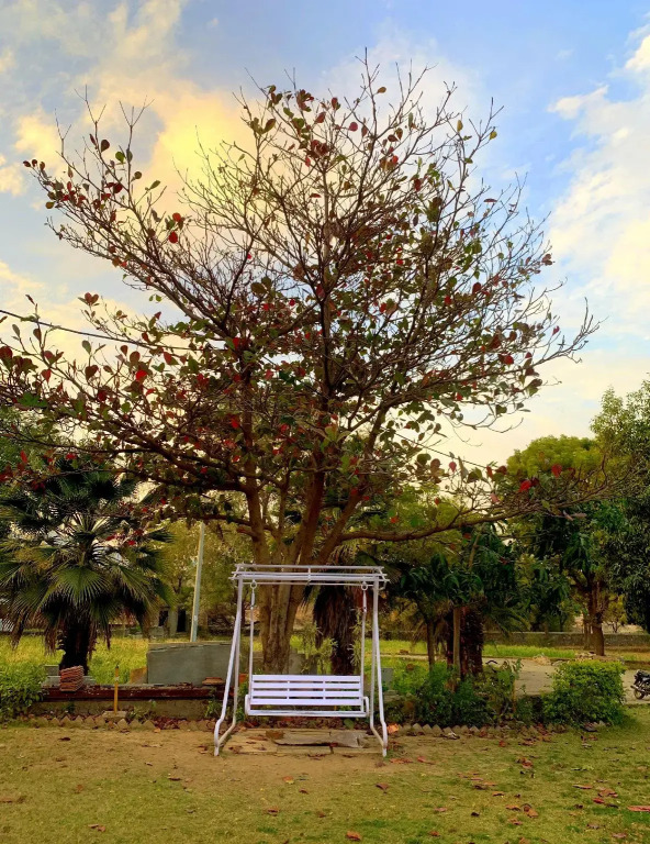 Farmstay By Manrup Bagh