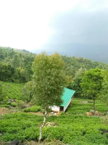 Vythirihills Nature Resort