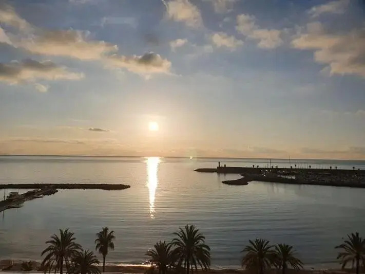 APPARTEMENT TERRASSE VUE MER Sea view terrace apartment "Etoile de Mer"