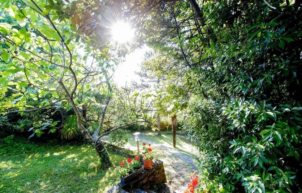 3 Bedroom Pet Friendly Home In Malinska
