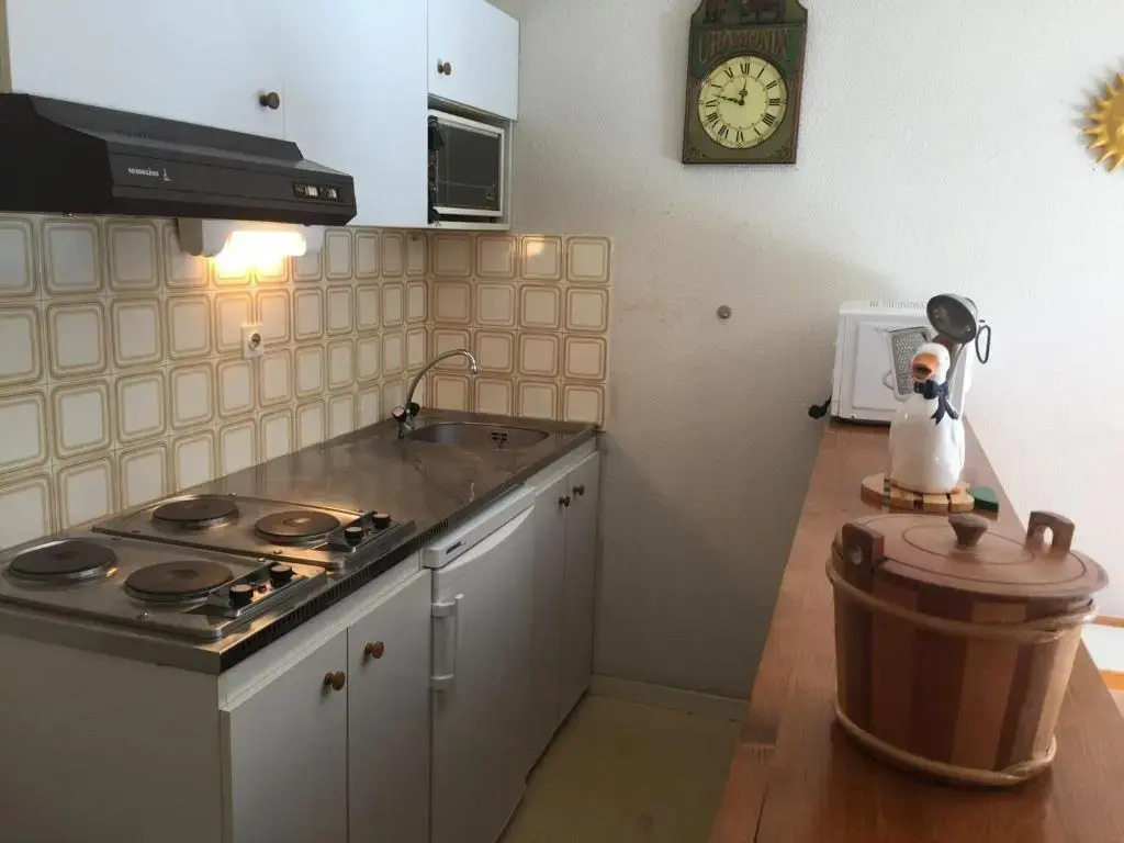 Appartement Chamonix-Mont-Blanc, 2 pièces, 4 personnes - FR-1-517-51