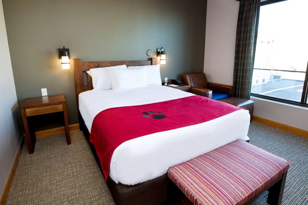 Отель Great Wolf Lodge Bloomington