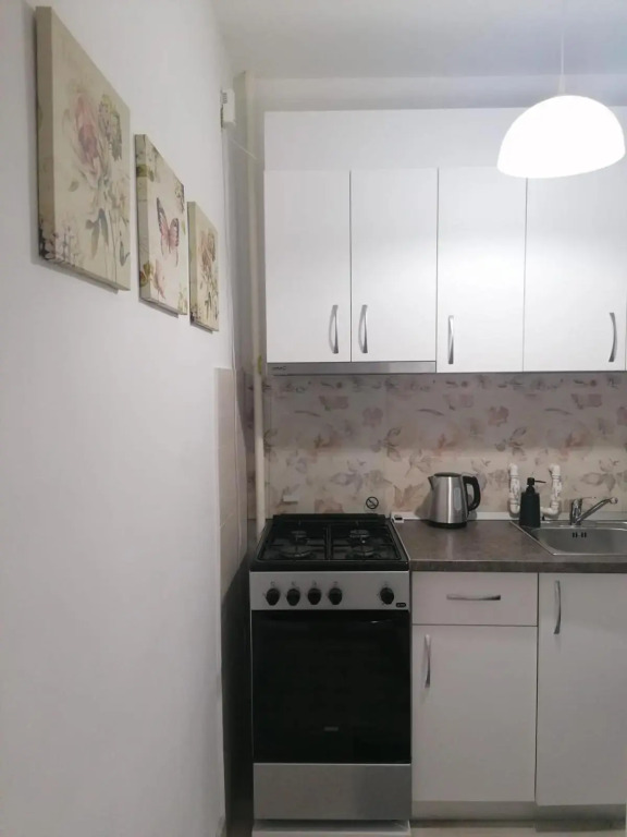 LAROKA HOUSE Cosy and modern apartment Universitate-City Centre