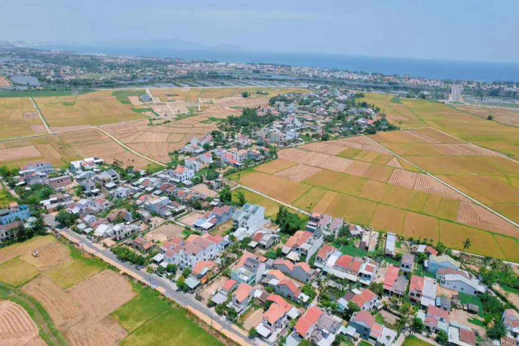 Canh dong homestay