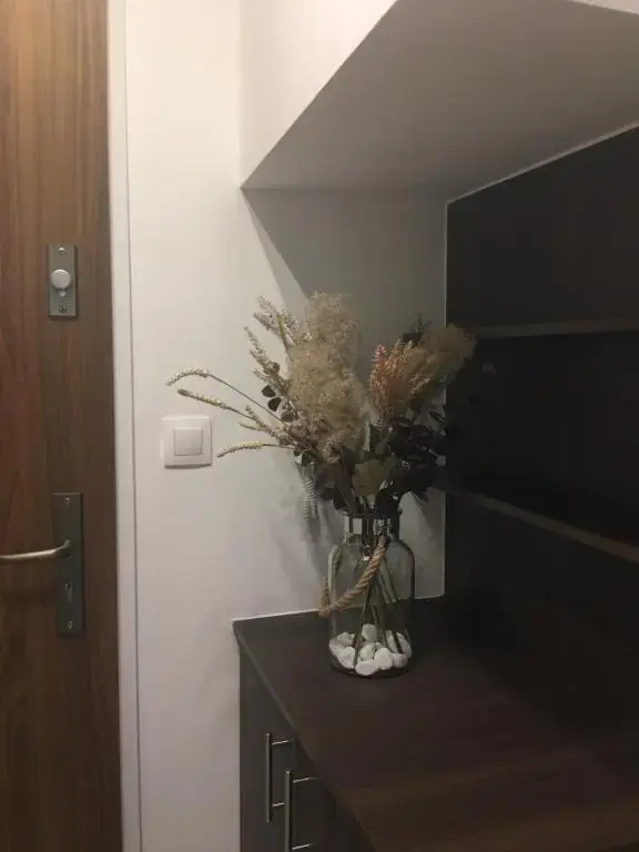 HOME Apartment