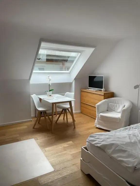 City Mini Apartment