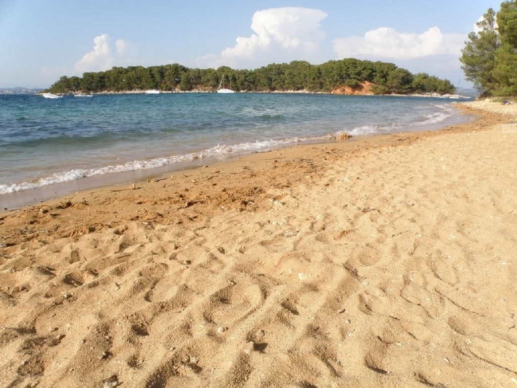 Apartment Ivo - relaxing & comfortable: A1 Vrgada (Island Vrgada), Riviera Biograd
