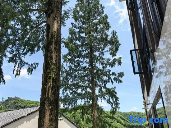 Suishanju · ZenTea Homestay (Jingshan Temple)