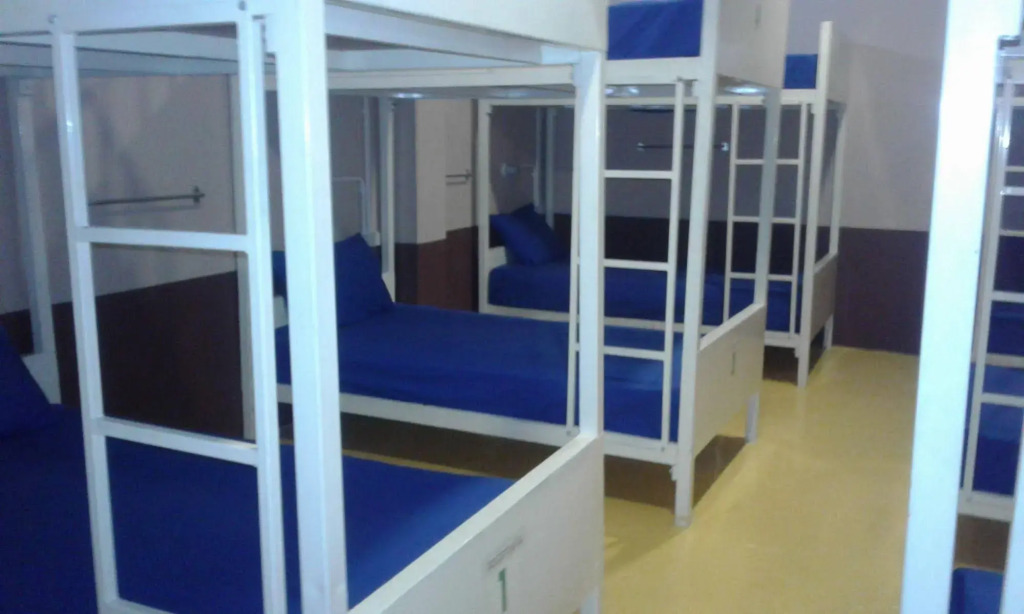 Treechart Hostel