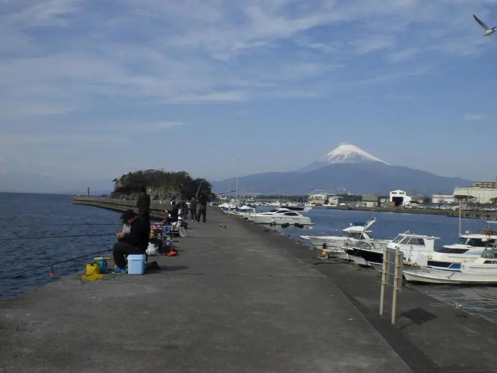 Marina and Numazu - Vacation STAY 16702v