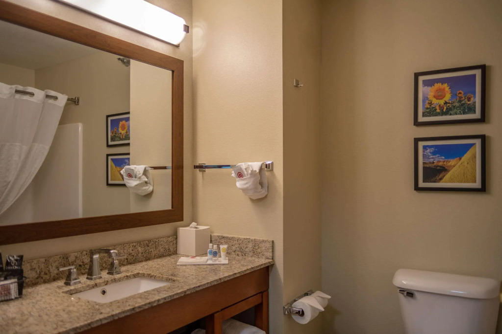 Comfort Inn & Suites