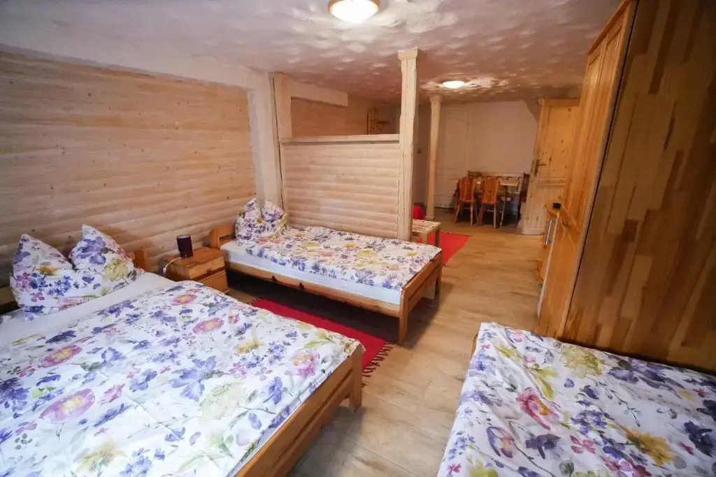 Chata pod Skocznią