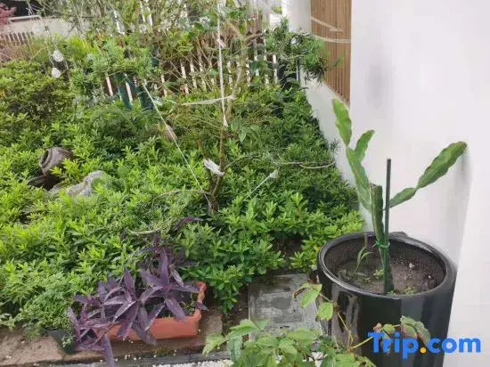 QinShiYue Homestay