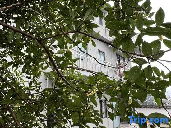 YouRan Ju Homestay