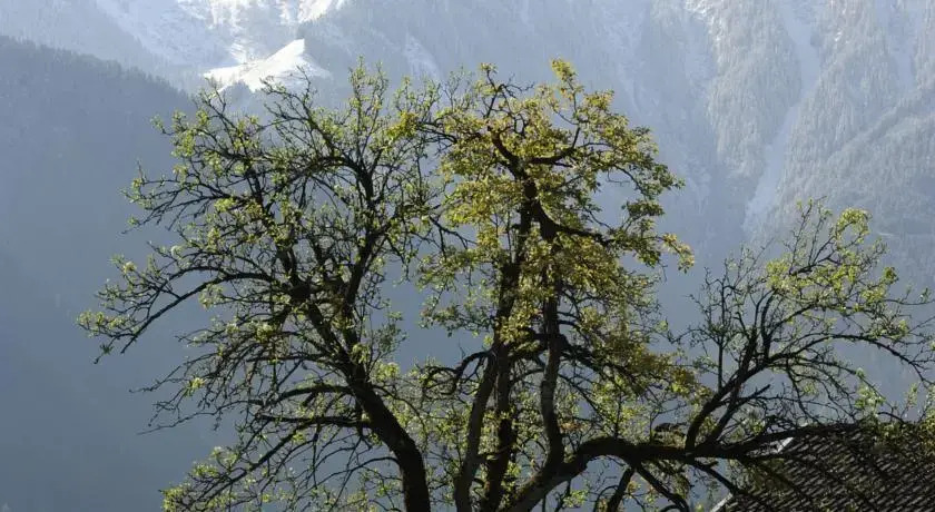 Oberstockachhof