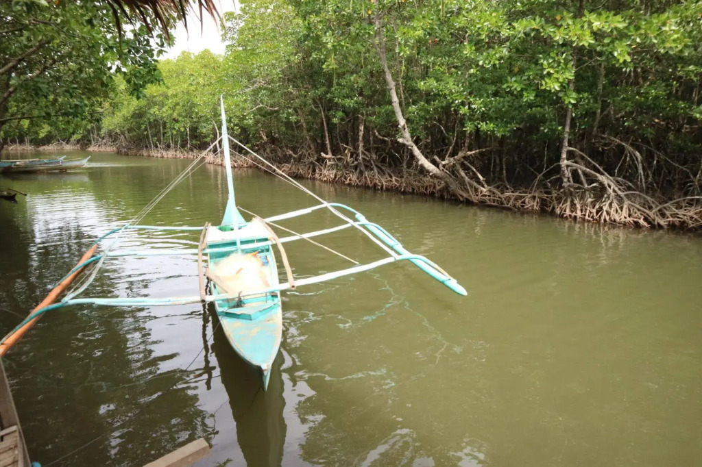 Villa Israel Ecopark El Nido