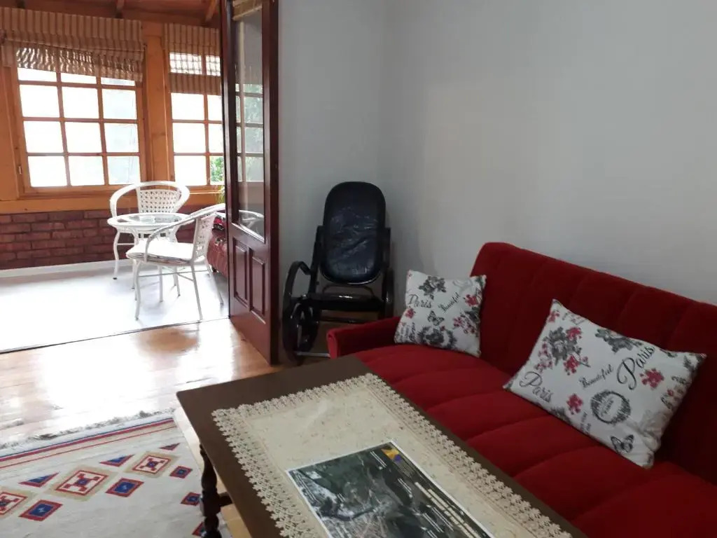 Apartment Borovi