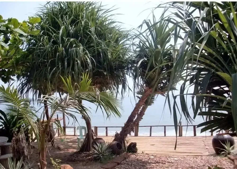 Jungle Bay Resort