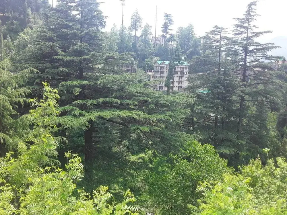 Hotel O Apple Valley View