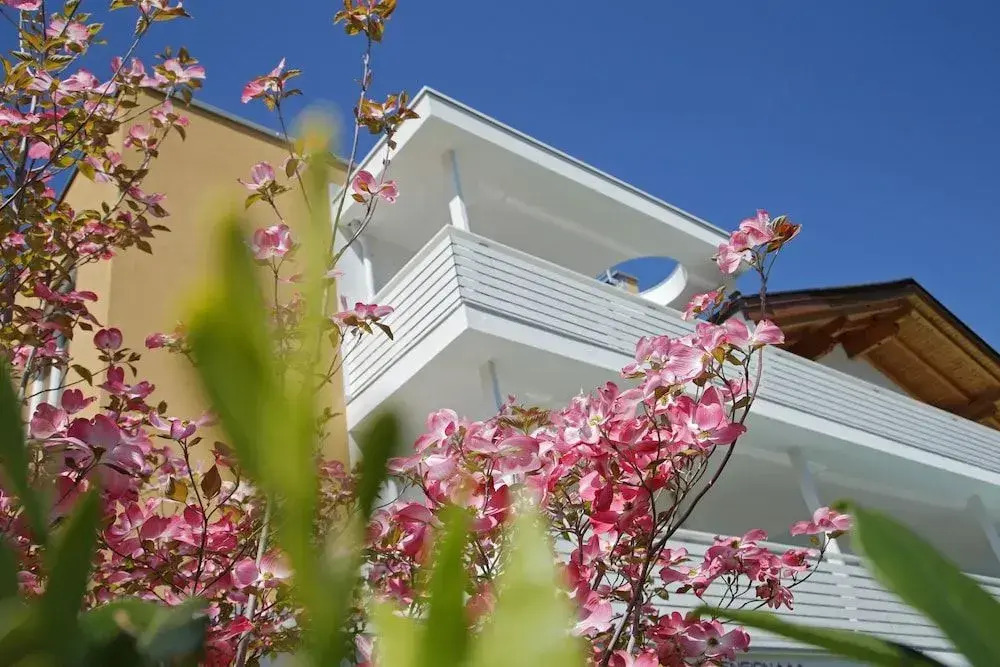 Hotel Jardis