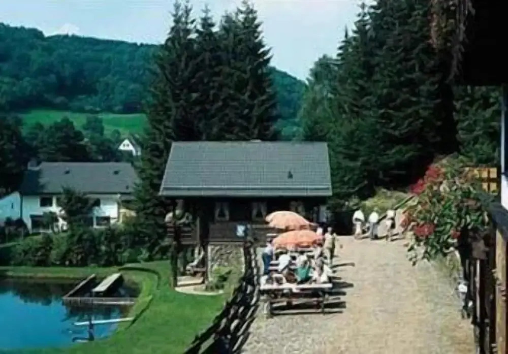 Wolffhotel