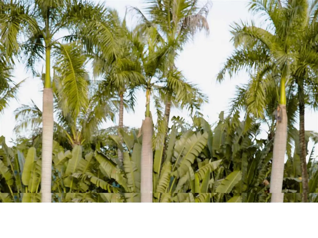 Pullman Resort Xishuangbanna
