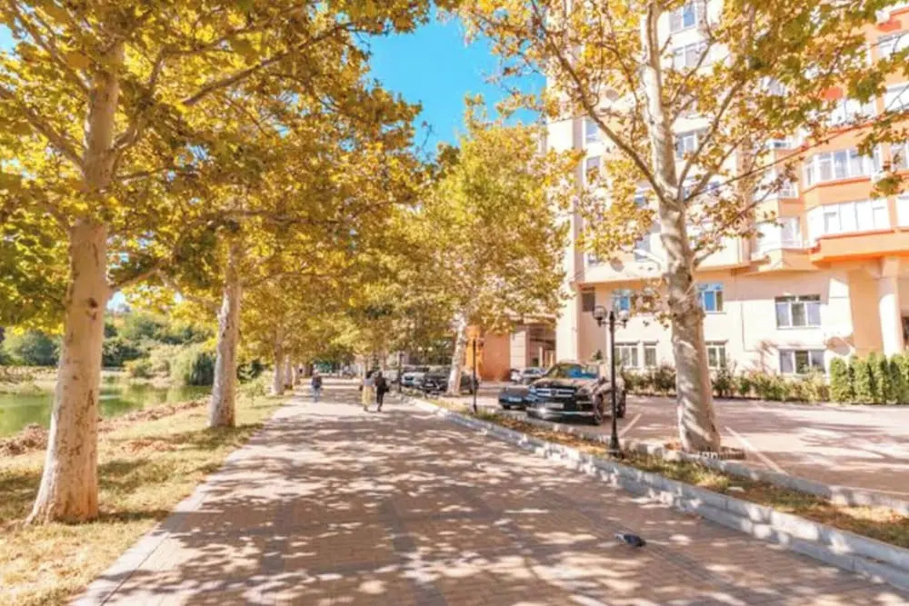 Panoramic City View 1BD Spacious Flat