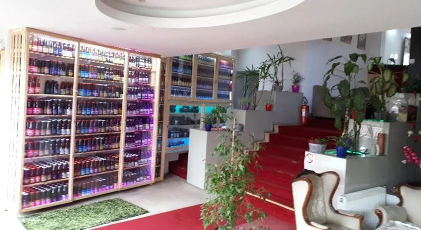 Hotel Alem