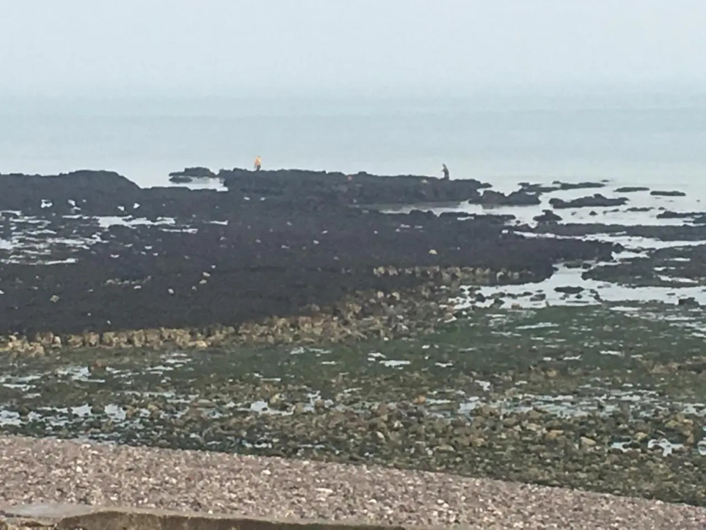 Les Mouettes, a Moins de 50 Metres de la Plage