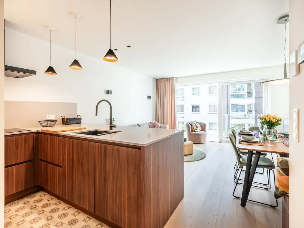 Apartment Near Dunes and Beach in Zeedijk