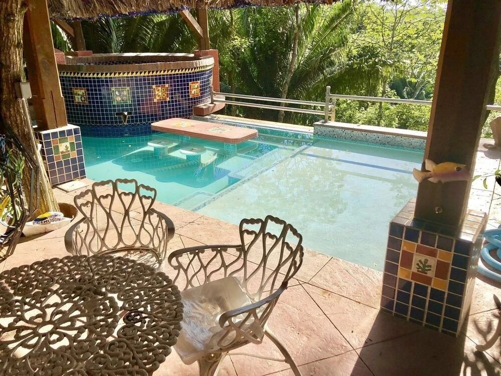 Mid-Century Style House