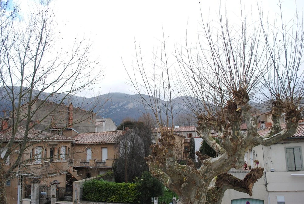 Nidélice Chambre dhôtes