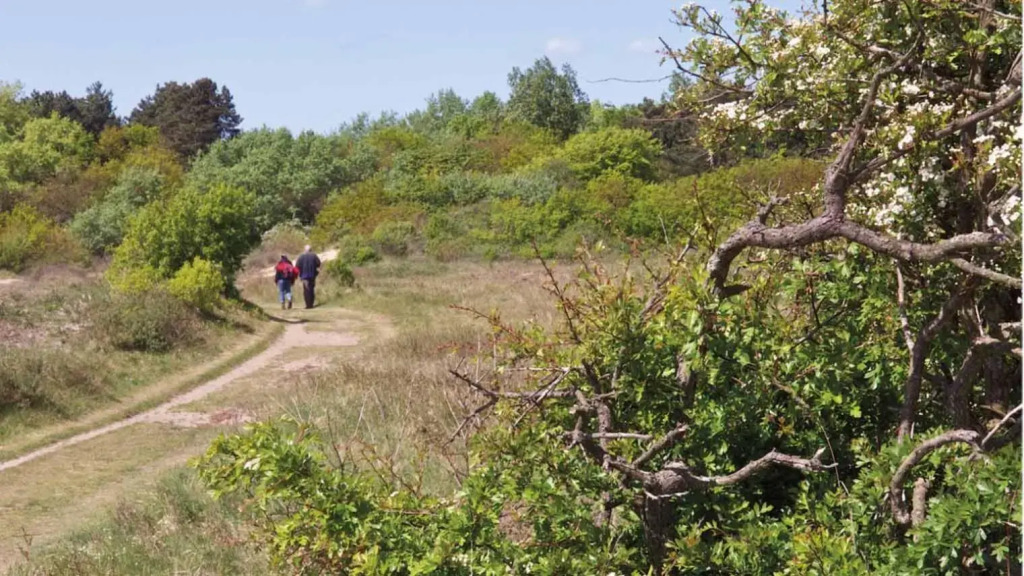 Kust-, fiets-, wandel-, rust- & cultuurlocatie
