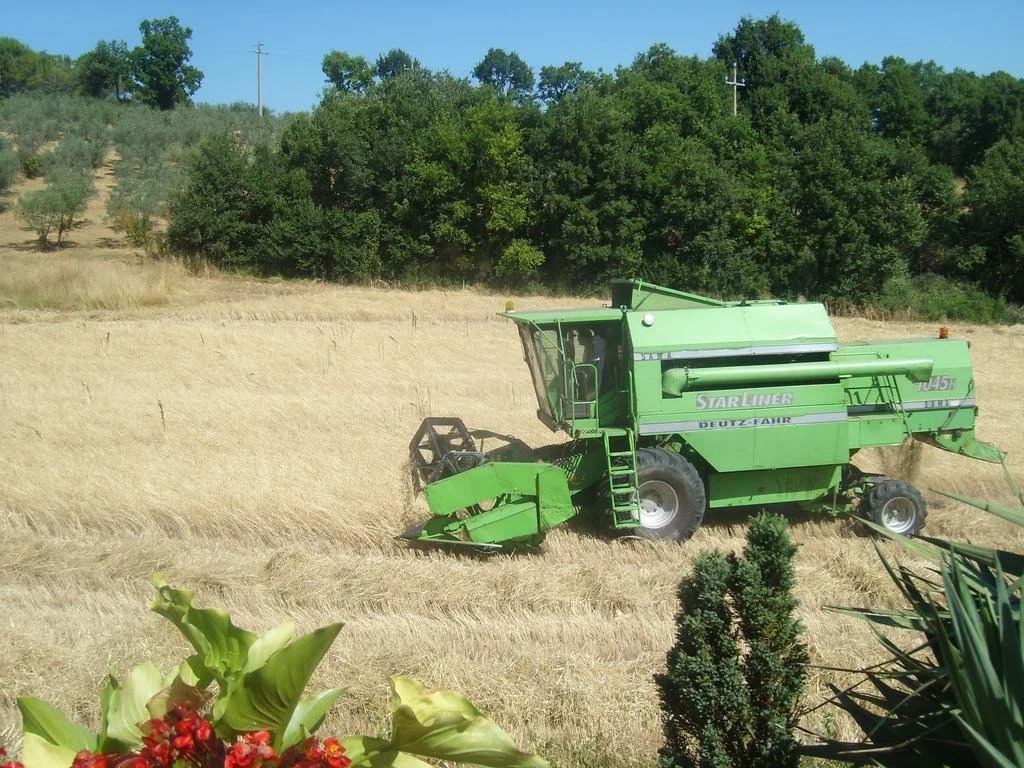 Fattoria Del Quondam