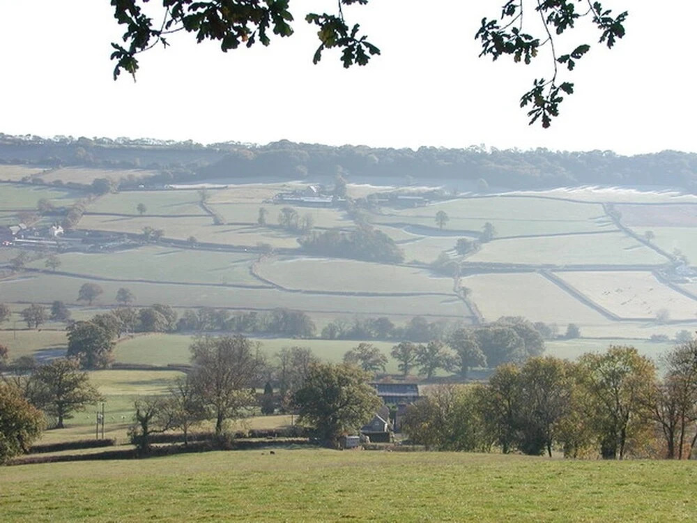 Swallows Cottage
