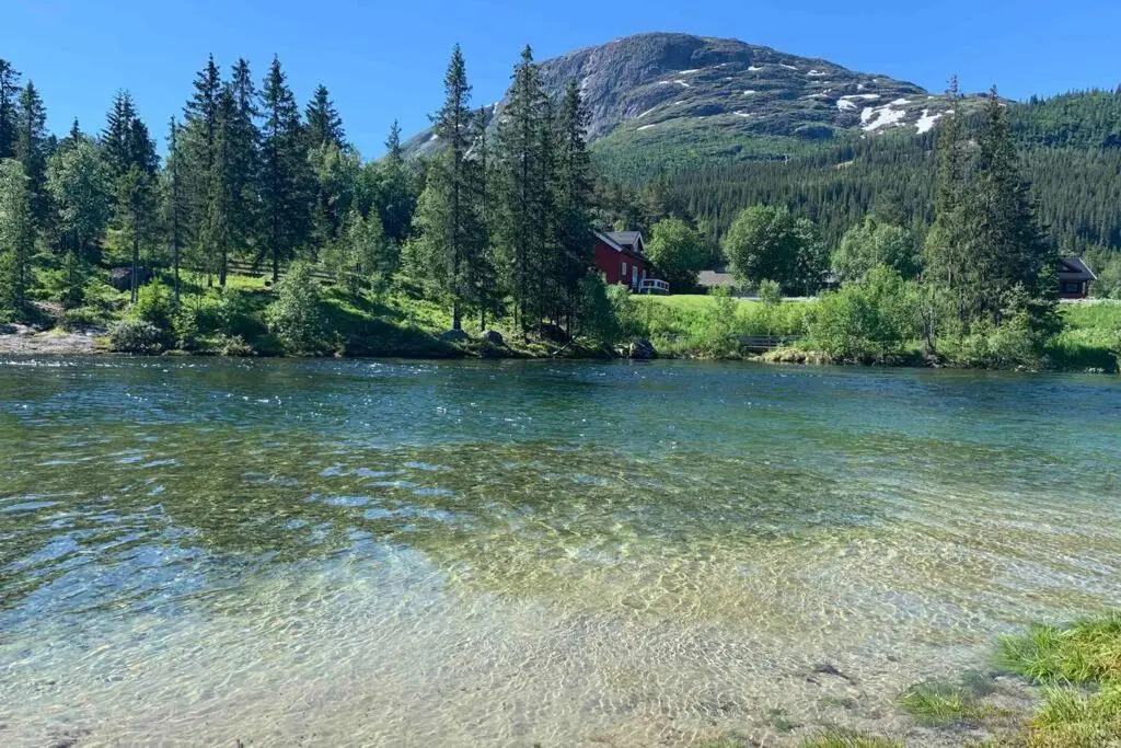 Super sentral, flott og solrik leilighet i sentrum