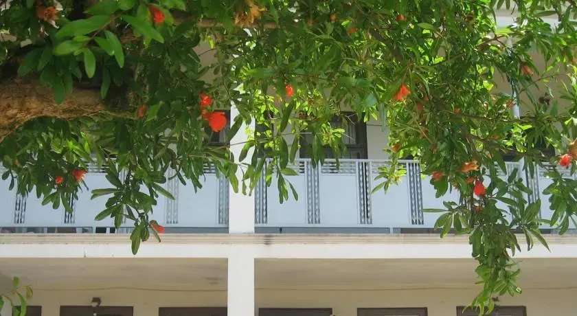 Guest House on Tamar Mephe 14