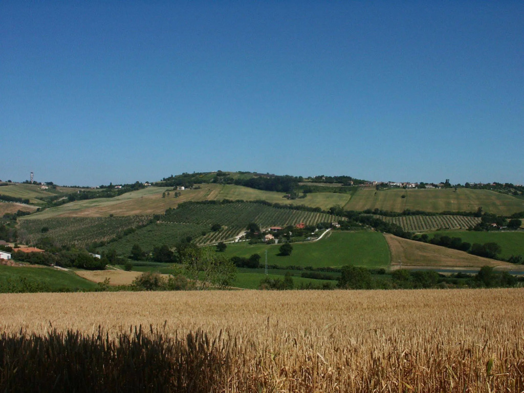 A3Passi Agriturismo tra gli Ulivi