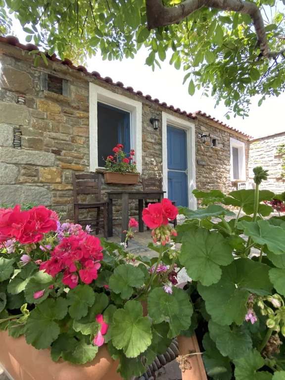 Mustafa'nin Fidan'i