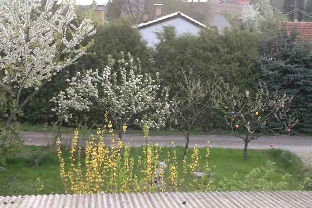 Restaurant Pension Lubusch Gahro