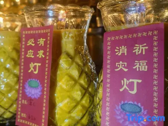 Wutaishan Ledu Tea House