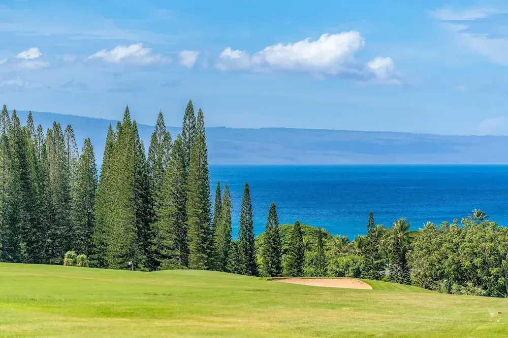 Kapalua Ridge Villas 1612 · KRV 1612 Remodeled Kapalua Villa w O