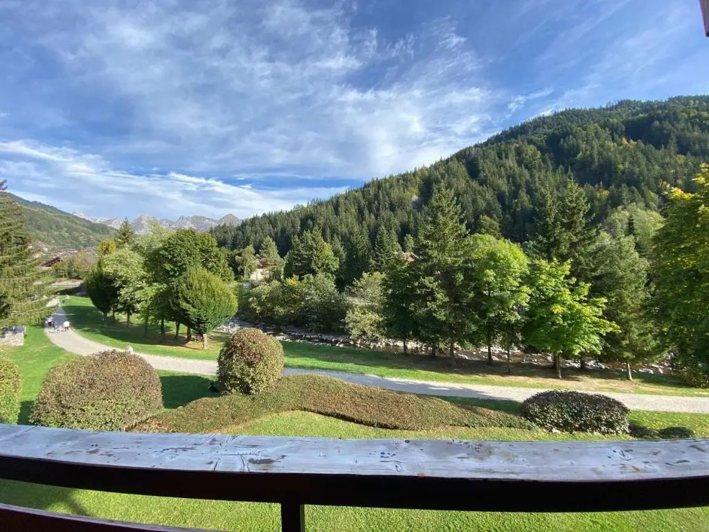 Appartement Le Grand-Bornand, 1 pièce, 3 personnes - FR-1-241-238