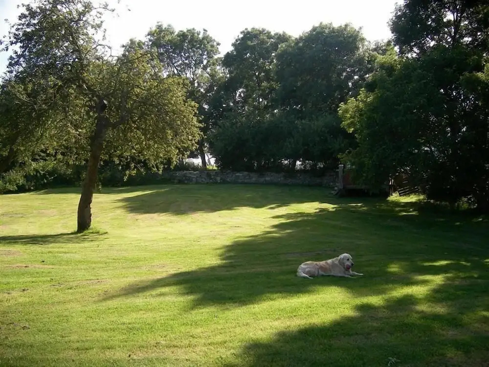 Coombe Orchard