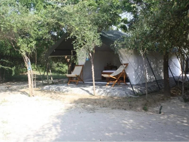 The Naturalist Luxury Tents