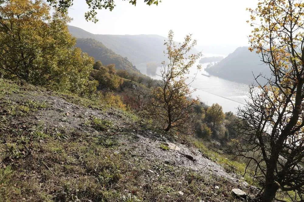 Romantisch wohnen in Kaub am Rhein