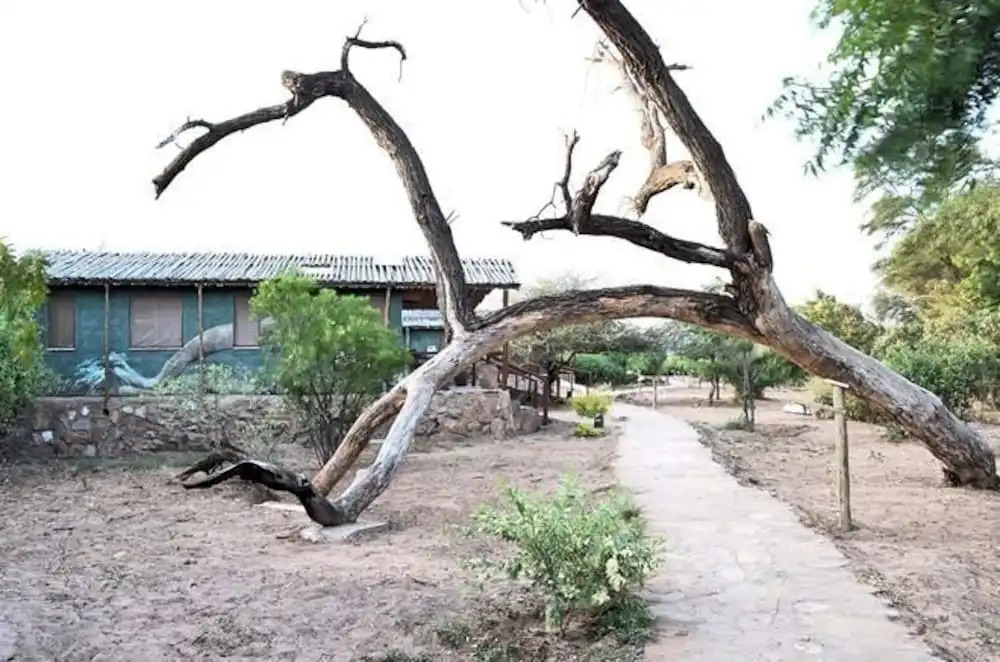 Sentrim Samburu