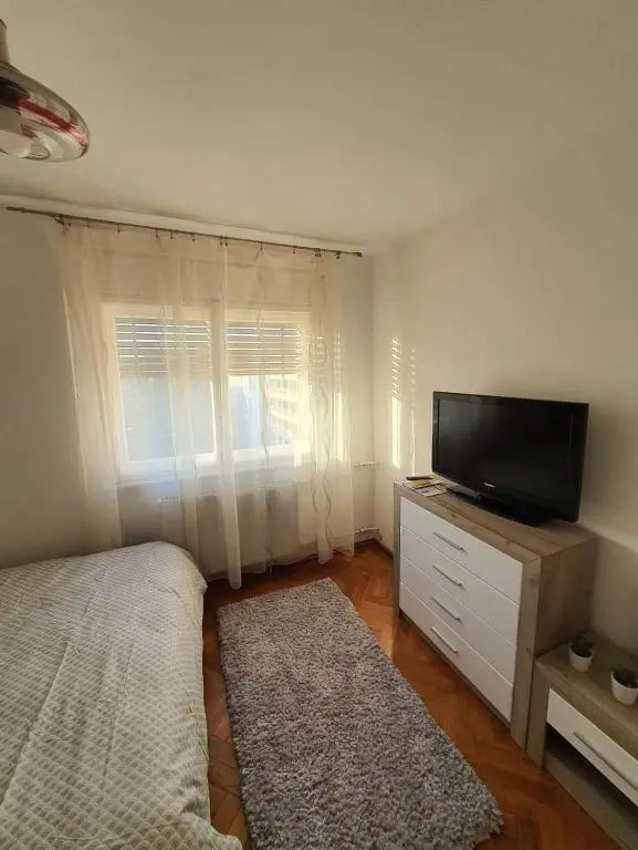 Piata Victoriei 2 Room Apartment
